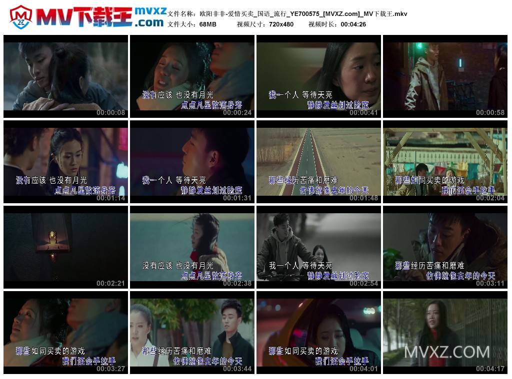 欧阳非非-爱情买卖_国语_流行_YE700575